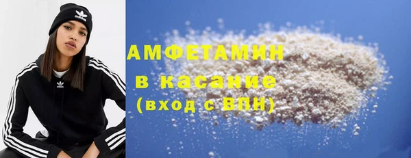 мет Алексин