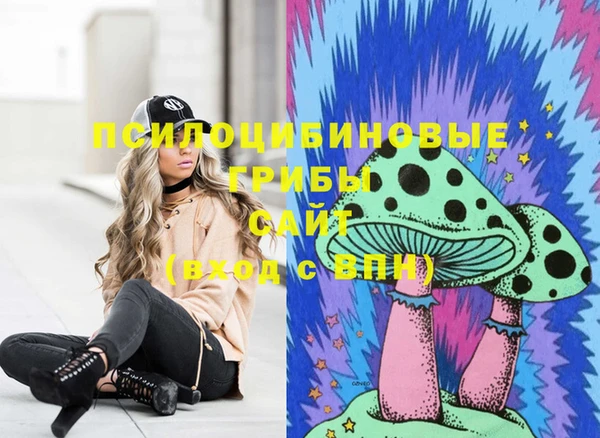 гашик Алексеевка