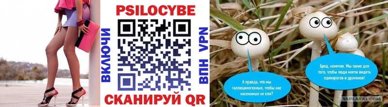 Псилоцибиновые грибы мухоморы Цимлянск